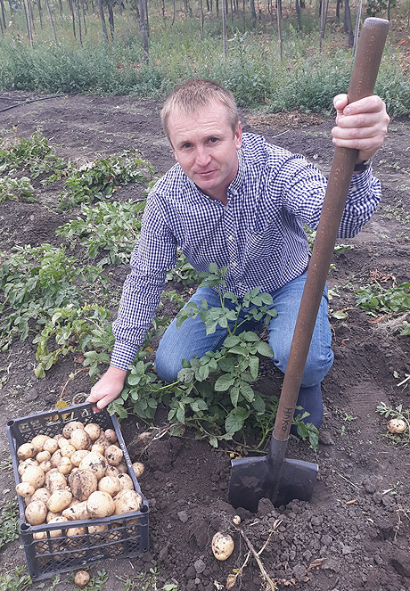 Учений Владислав Коваленко збирає черговий урожай картоплі на дослідній ділянці. Фото надав автор